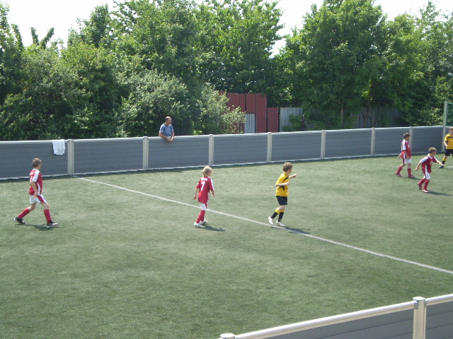 010.jpg